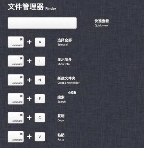 了解常用的图片文件格式（掌握不同图片文件格式的特点和应用场景）