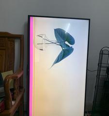 如何修复液晶电视屏幕上出现的一条竖线？（解决液晶电视屏幕故障的简易方法）
