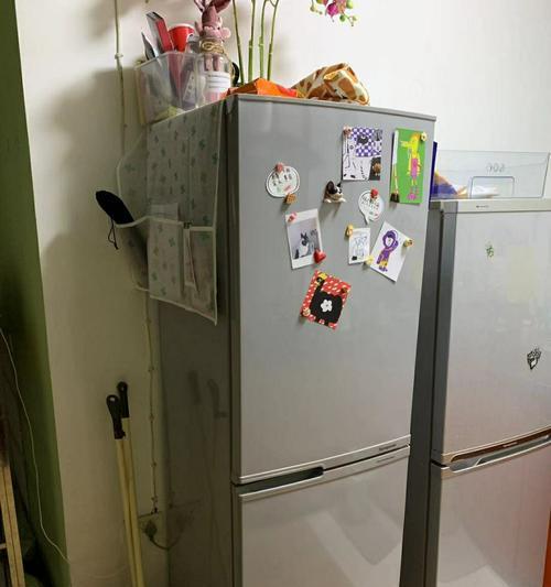 家用冰箱购买指南（选择适合家庭使用的冰箱品牌和关键要素）
