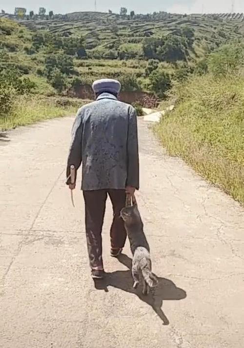 解决网页打不开的问题（快速排除网页无法访问的困扰）