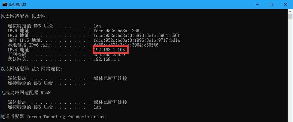 全面了解IP地址的查询方法（掌握IP地址查询的技巧与应用）