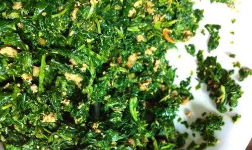 冰箱野菜探寻之旅（利用冰箱发现新鲜健康的野菜）