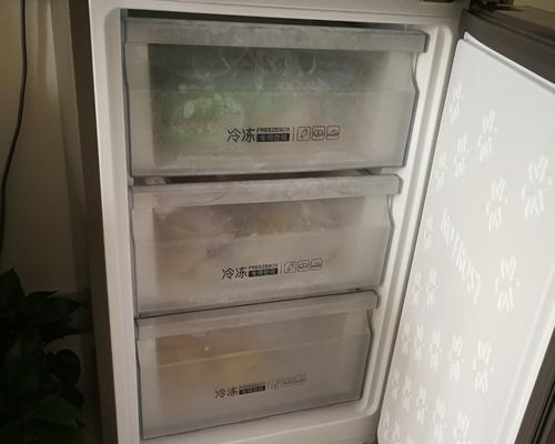 解决冰柜噪音大问题的有效方法（减少冰柜噪音对生活环境的影响）