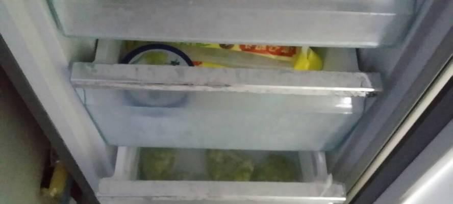 冰箱里防蚂蚁的方法（让冰箱清凉如初）