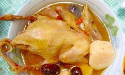 夏天怎么炖鸽子汤好喝（给鸽子汤汁炖鸽子的妙招）