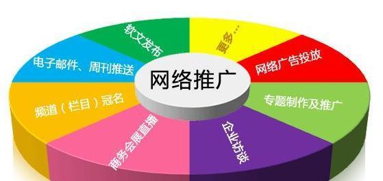 电商运营从零开始的指南（打造成功电商平台的关键步骤和策略）