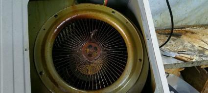 抽油烟机防反味清洗方法（彻底清除油烟的小窍门）