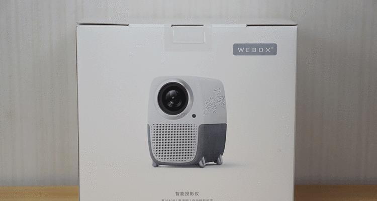 投影仪画面无横线的解决方法（消除投影仪画面中的横线干扰）