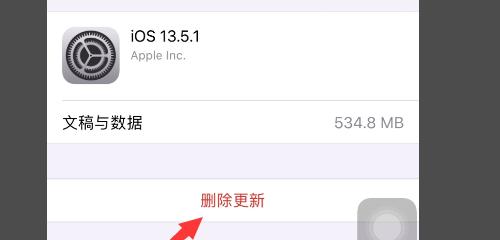 苹果电脑内存占用全解析（深入了解如何查看和优化苹果电脑的内存占用情况）