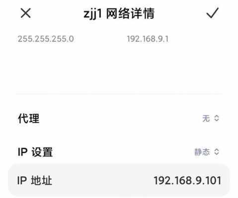 手机wifi已连接不可上网的原因及解决方法（探究手机wifi连接异常的常见原因及解决方案）