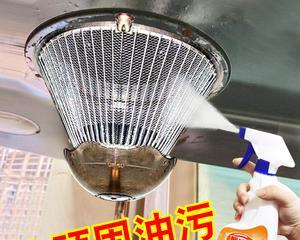 如何正确清洗抽油烟机滤网（有效清洗方法和技巧）