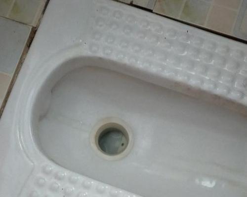 卫生巾堵塞蹲便器的解决方法（教你如何应对卫生巾堵塞蹲便器的突发情况）