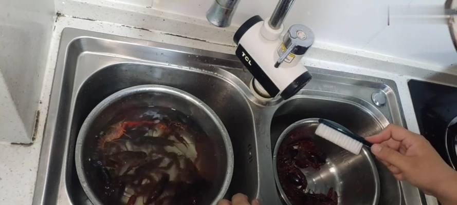 如何正确清洗洗衣机中的小龙虾（洗衣机小龙虾清洗方法解析）
