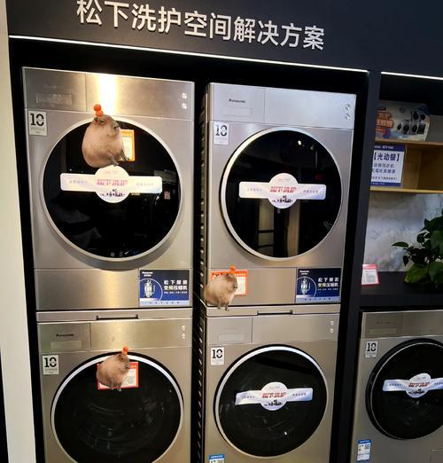 松下滚筒洗衣机H41故障代码解决方法（了解H41故障代码及其原因）