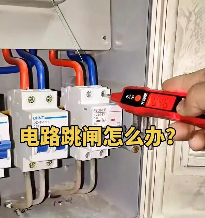 冰箱跳闸的原因及维修方法（解决冰箱跳闸问题的关键技巧）