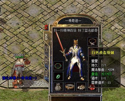 传奇职业道士的技能特点是什么？道士在游戏中如何升级？