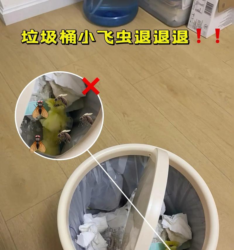 小飞虫笔记本清理内存步骤是什么？