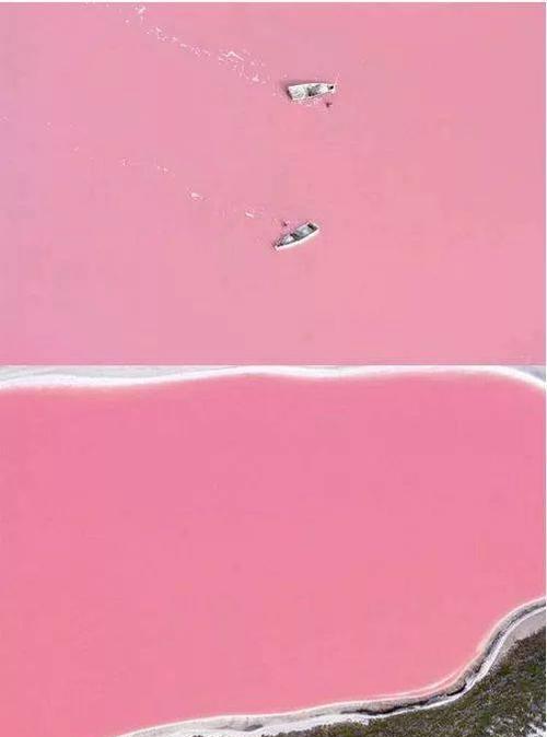水下拍照手机选择和技巧是什么？