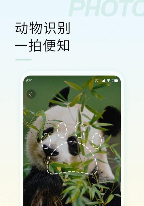 如何通过拍照识别手机型号?