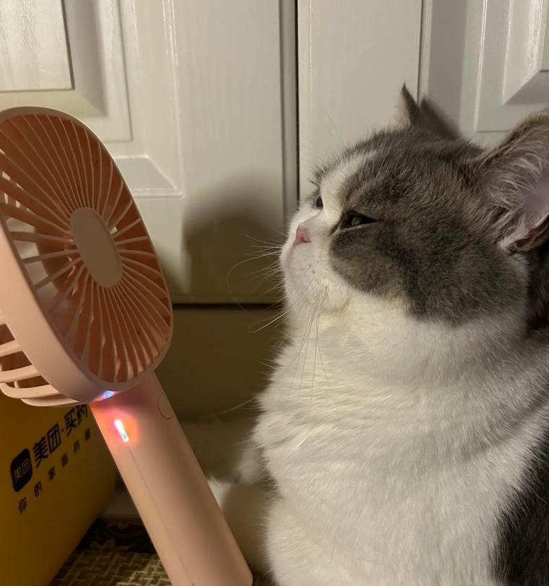某猫电脑风扇声音大吗为什么？电脑风扇声音大的原因是什么？