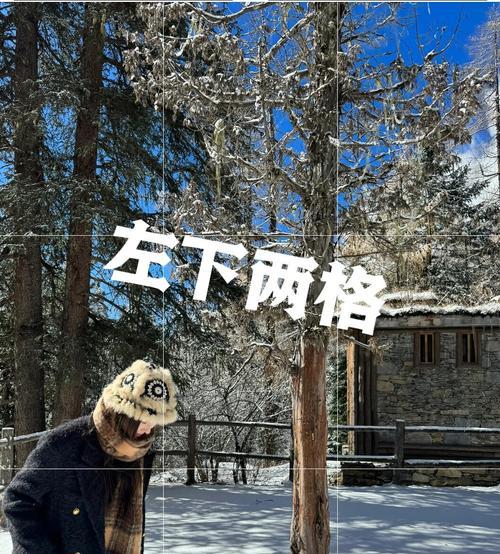 苹果原相机拍照技巧是什么？