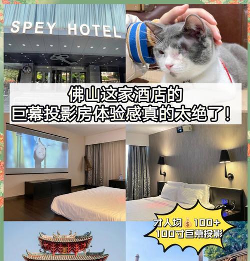 有投影仪和舞台的酒店有哪些？如何选择合适的酒店？