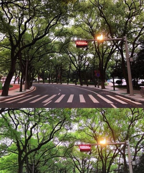 华为手机拍照出现幻影怎么回事？如何解决拍照幻影的问题？
