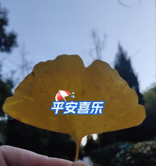 用叶子拍照效果好吗?如何拍摄出好照片?