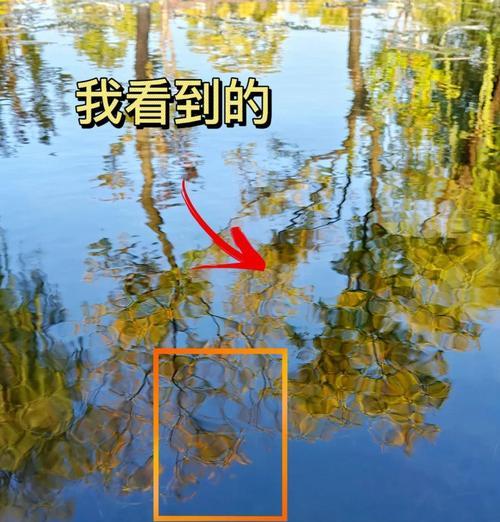 手机倒影镜拍照技巧是什么？