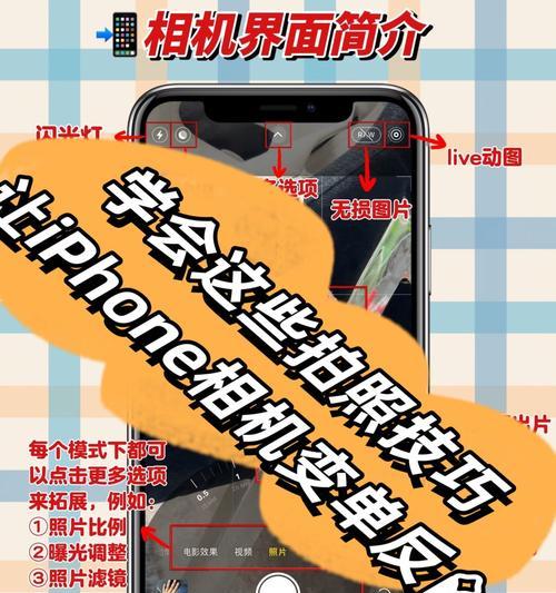 苹果手机如何在小空间内拍出好照片？有哪些拍摄技巧？