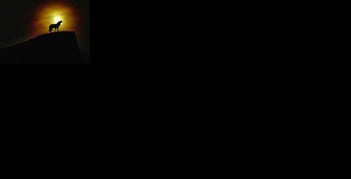 电脑壁纸导致黑屏怎么恢复？解决方法是什么？