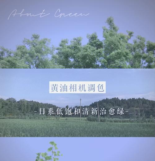 黄油涂抹相机如何用手机拍摄？