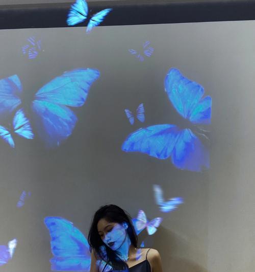 全新投影仪蝴蝶照片调整方法是什么？