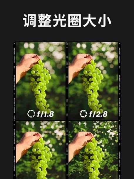 如何选择大底大光圈手机？拍照效果如何？