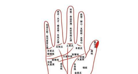 手机拍照如何显示手纹？手纹显示设置方法是什么？
