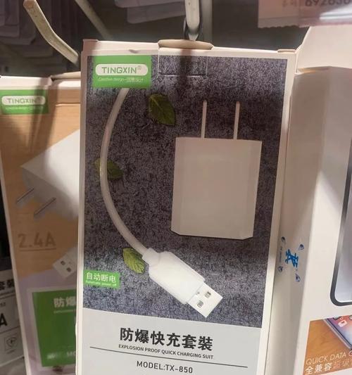 大新工作充电器的使用方法是什么？