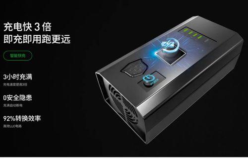 绿源原装充电器价格是多少？哪里可以购买到正品？