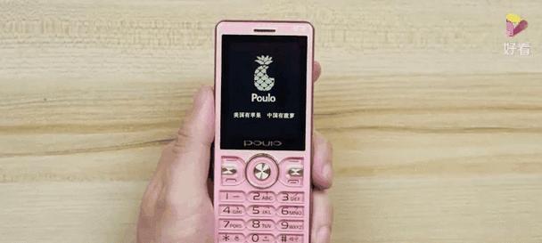 苹果手机菠萝图案代表什么？