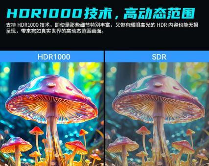 新泰坦音响的音质表现如何？使用中有哪些常见问题？