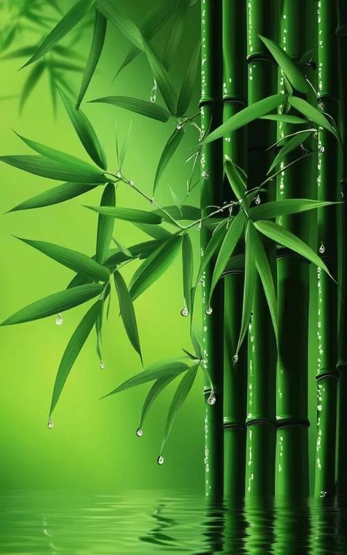 苹果手机拍摄绿色时应该使用哪种滤镜？